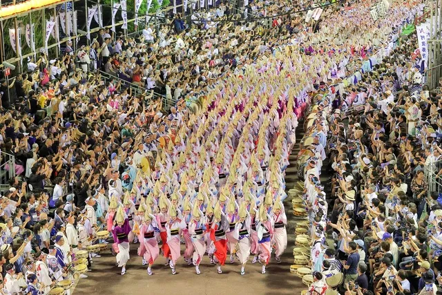 2026阿波おどり 有料桟敷演舞