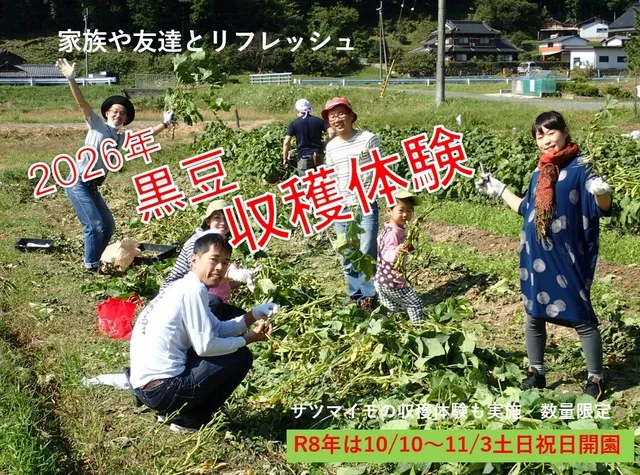 丹波黒枝豆の収穫体験2026