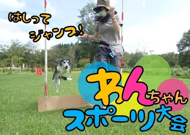 第5回わんちゃんスポーツ大会