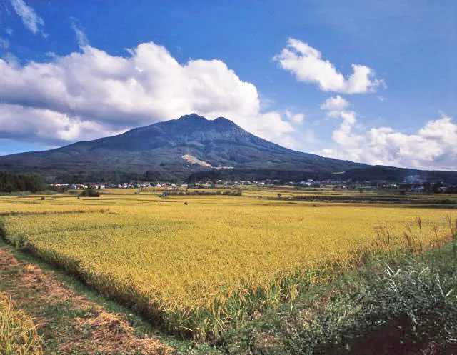 【紅葉・見ごろ】岩木山