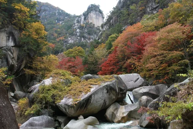 【紅葉・見ごろ】御岳昇仙峡