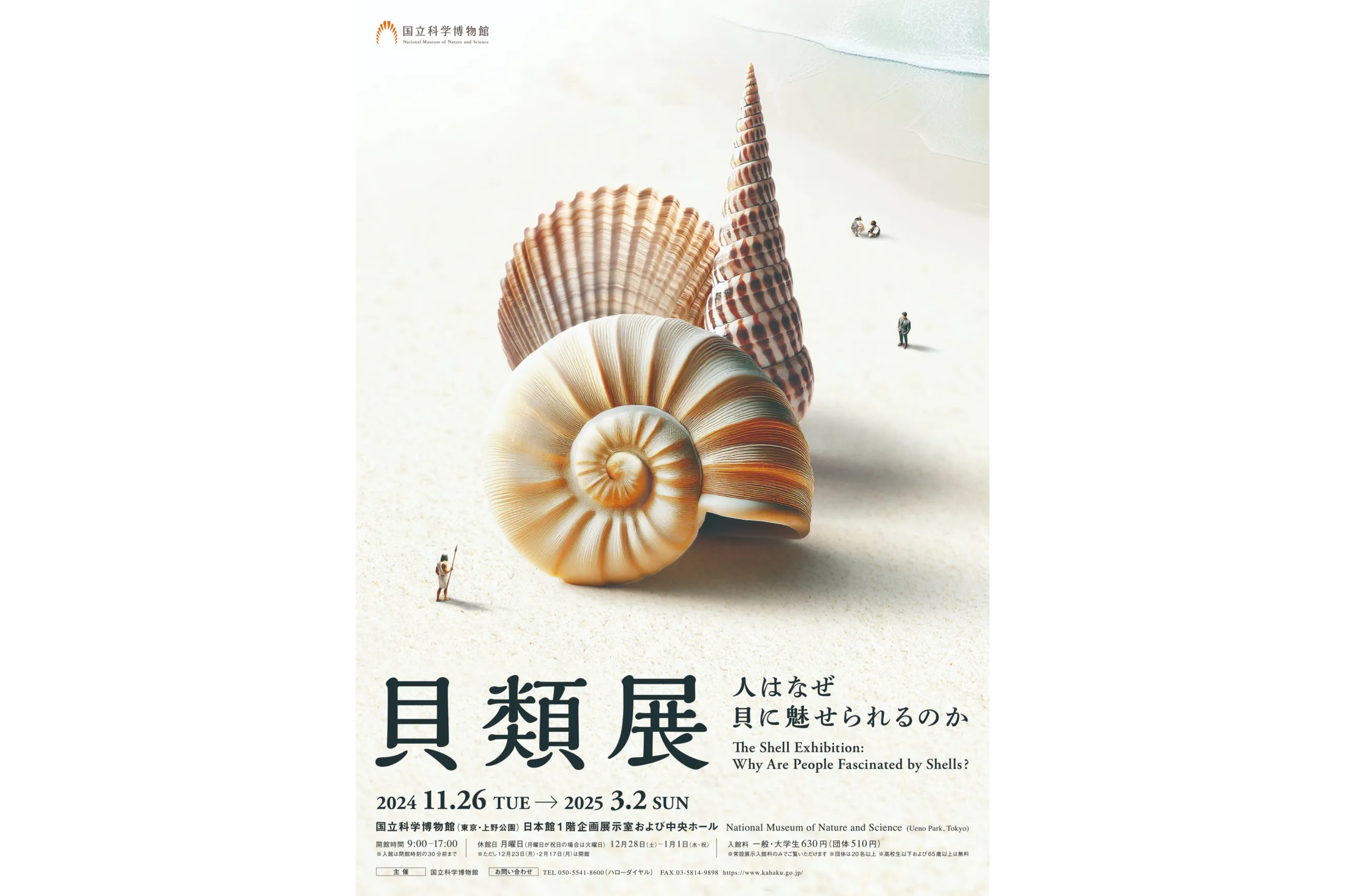 企画展「貝類展：人はなぜ貝に魅せられるのか」