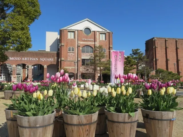 2026冬咲きチューリップショー