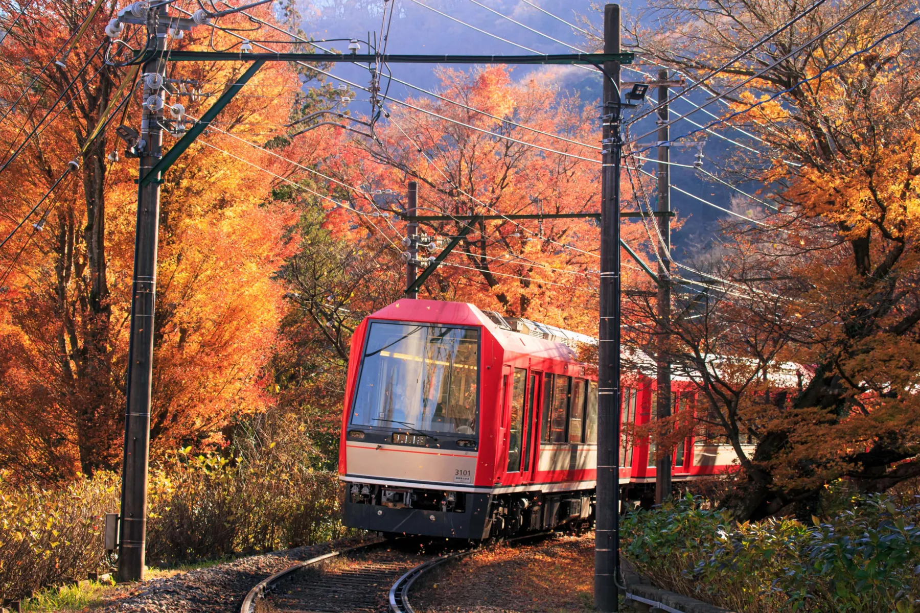 出山鉄橋の紅葉情報_2