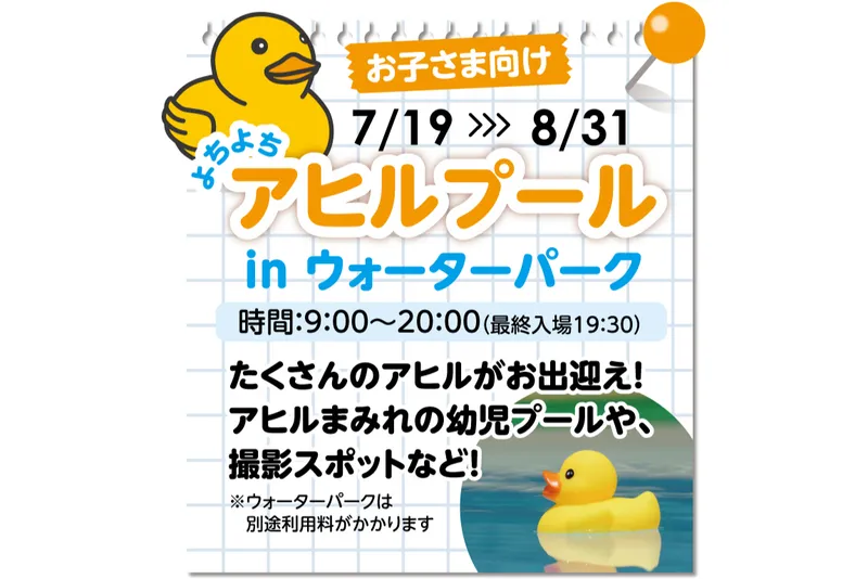 ウォーターパークはアヒルまみれ！