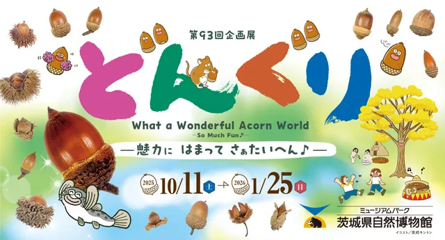 第93回企画展「どんぐり－魅力に はまって さぁたいへん－」