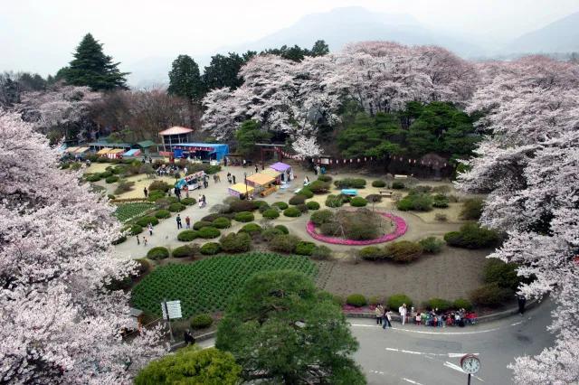 第38回沼田公園桜まつり
