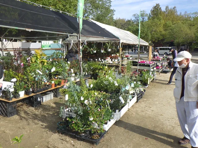 秋の植木市（鶴見緑地）