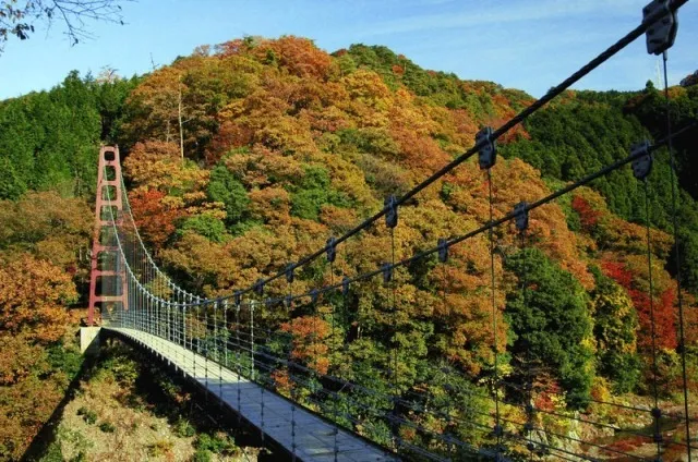 【紅葉・見ごろ】多良峡