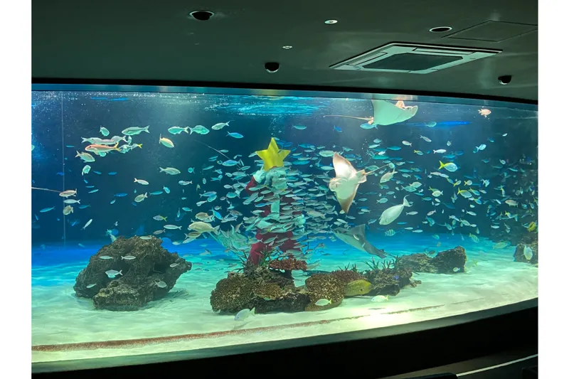 サンシャインラグーンフィーディングタイム　11:00～