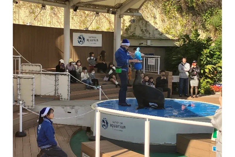 アシカトレーニング　12:30～、15:30～