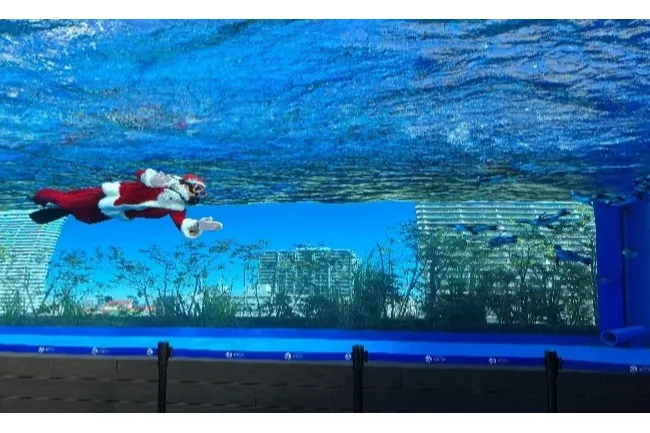 Enjoy! AQUARIUM Happy Holidays(エンジョイ!アクアリウムハッピーホリデーズ)_7