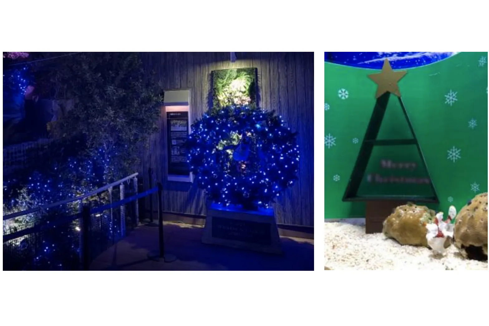 Enjoy! AQUARIUM Happy Holidays(エンジョイ!アクアリウムハッピーホリデーズ)_9