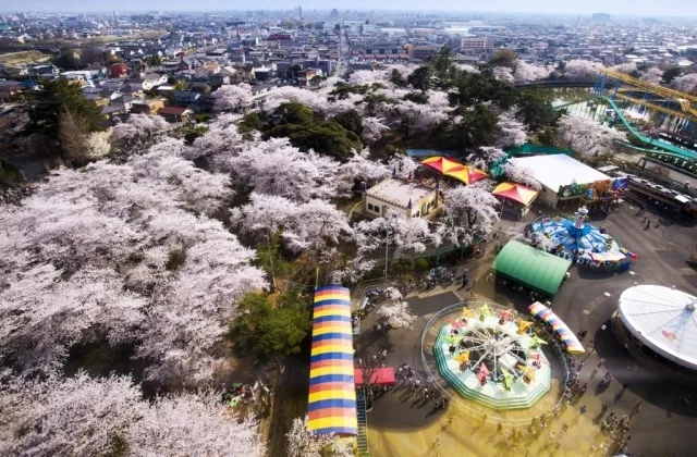 華蔵寺公園花まつり