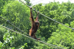 多摩動物公園 開園時間延長_1
