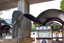 多摩動物公園 開園時間延長_3