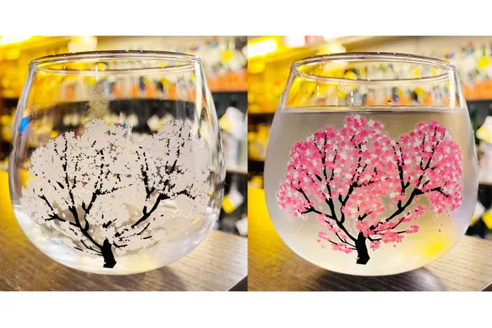グラス付きの前売りチケットご購入の方にお付けします