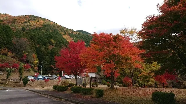 【紅葉・見ごろ】付知峡_1