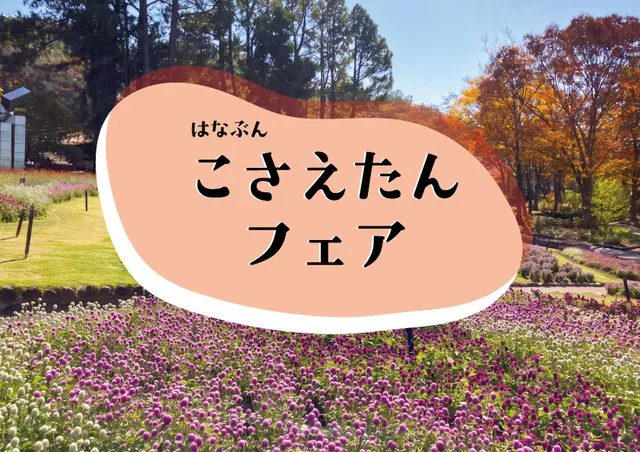 こさえたんフェア