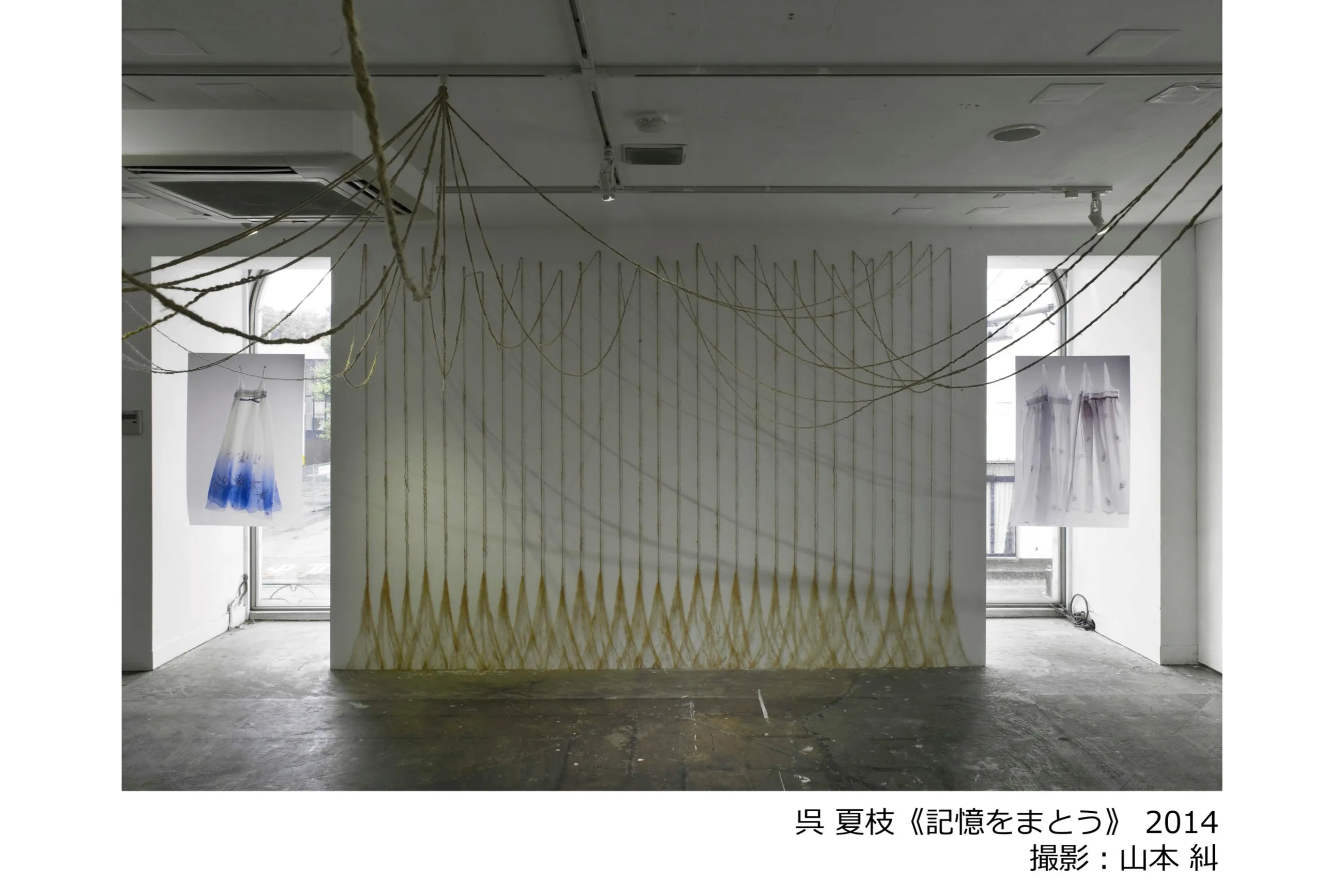 Tokyo Contemporary Art Award 2024-2026 受賞記念展「湿地」