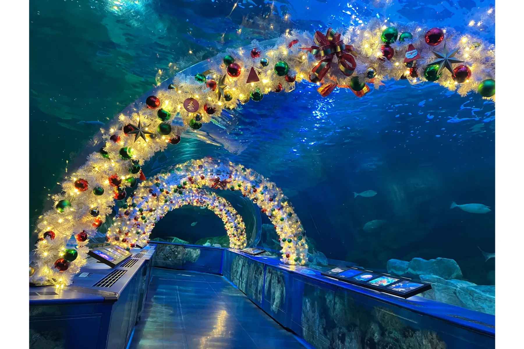 しな水のクリスマス2025_7