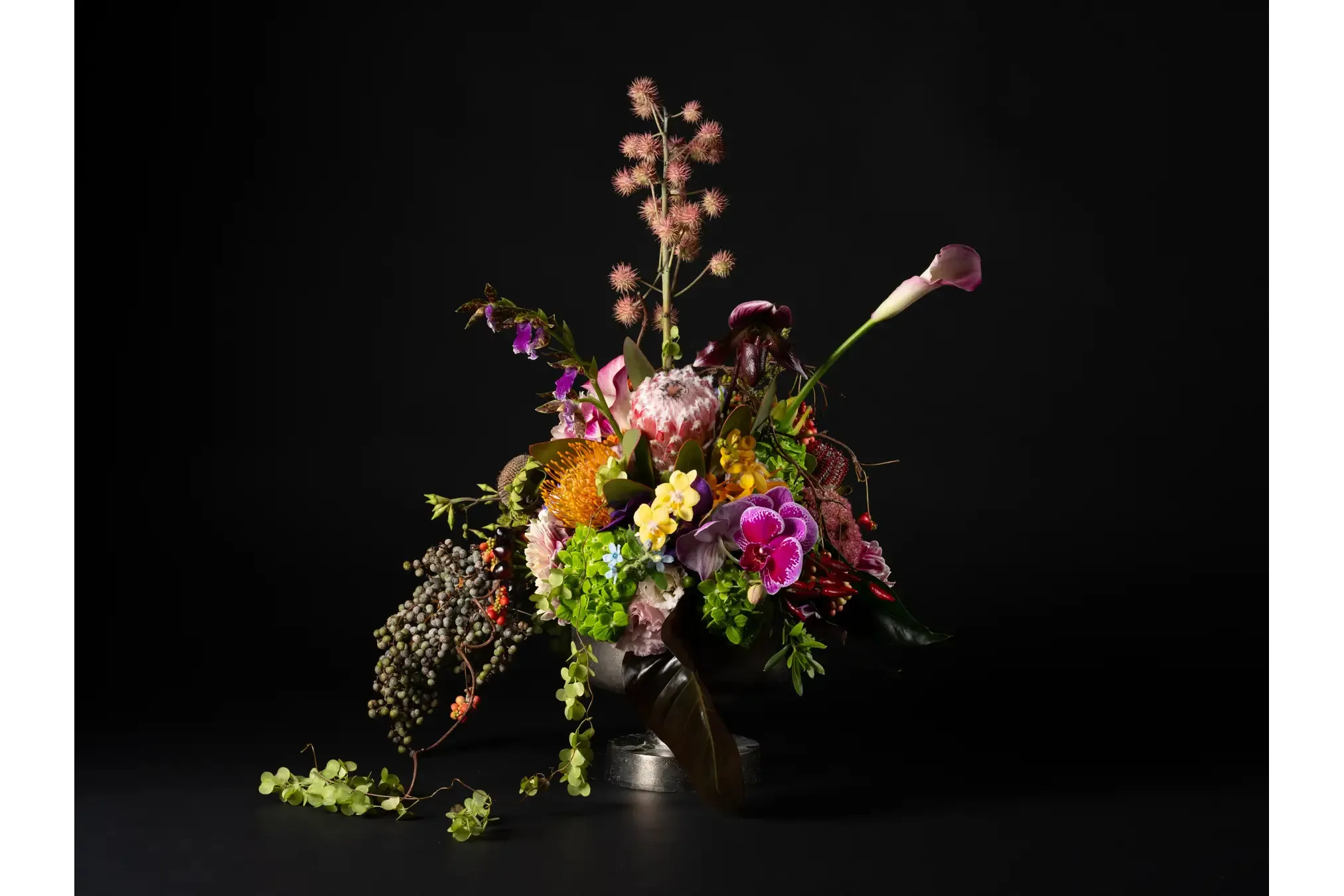 芸術写真 FLOWERS and TREES 富士フイルムビジネスイノベーション 企画写真展 時静-JISE- 花人 赤井