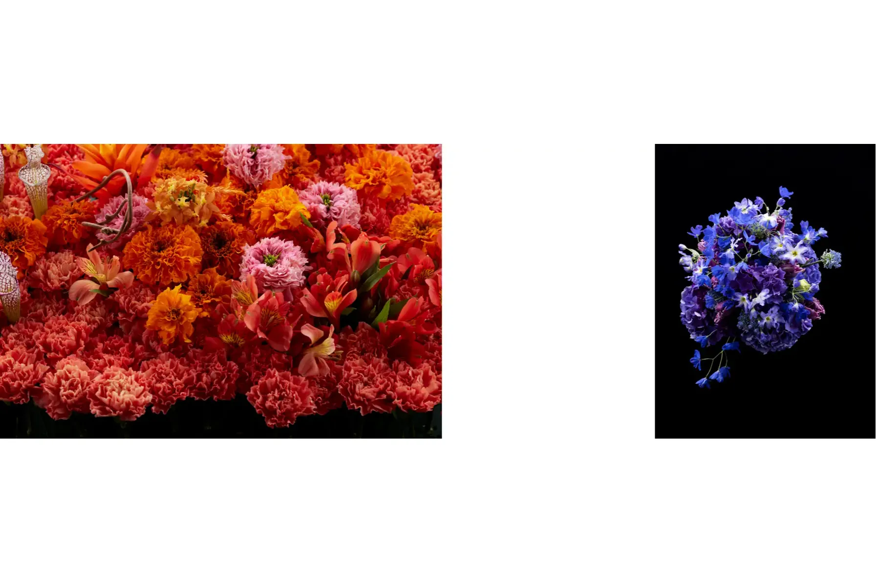 花瓶に赤と白の花 日本画 藤原如学（エッセイ投稿 | 柏市布施