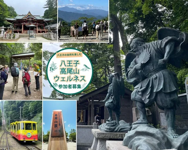 ハイキングガイドツアー「春の高尾山さんぽ」