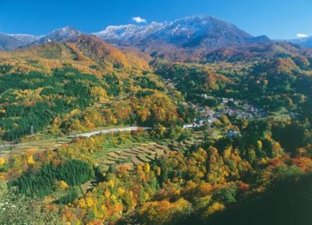 【紅葉・見ごろ】秘境秋山郷