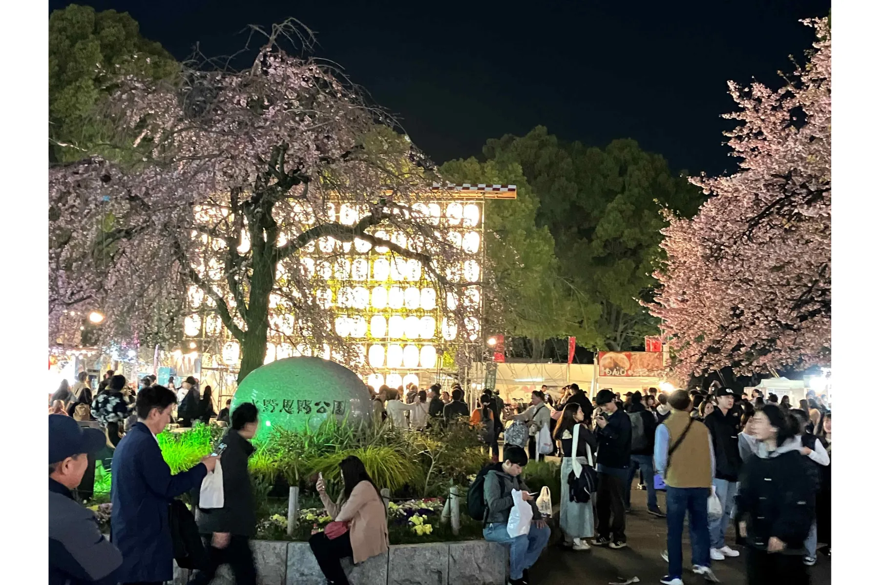 うえの桜フェスタ2026_9