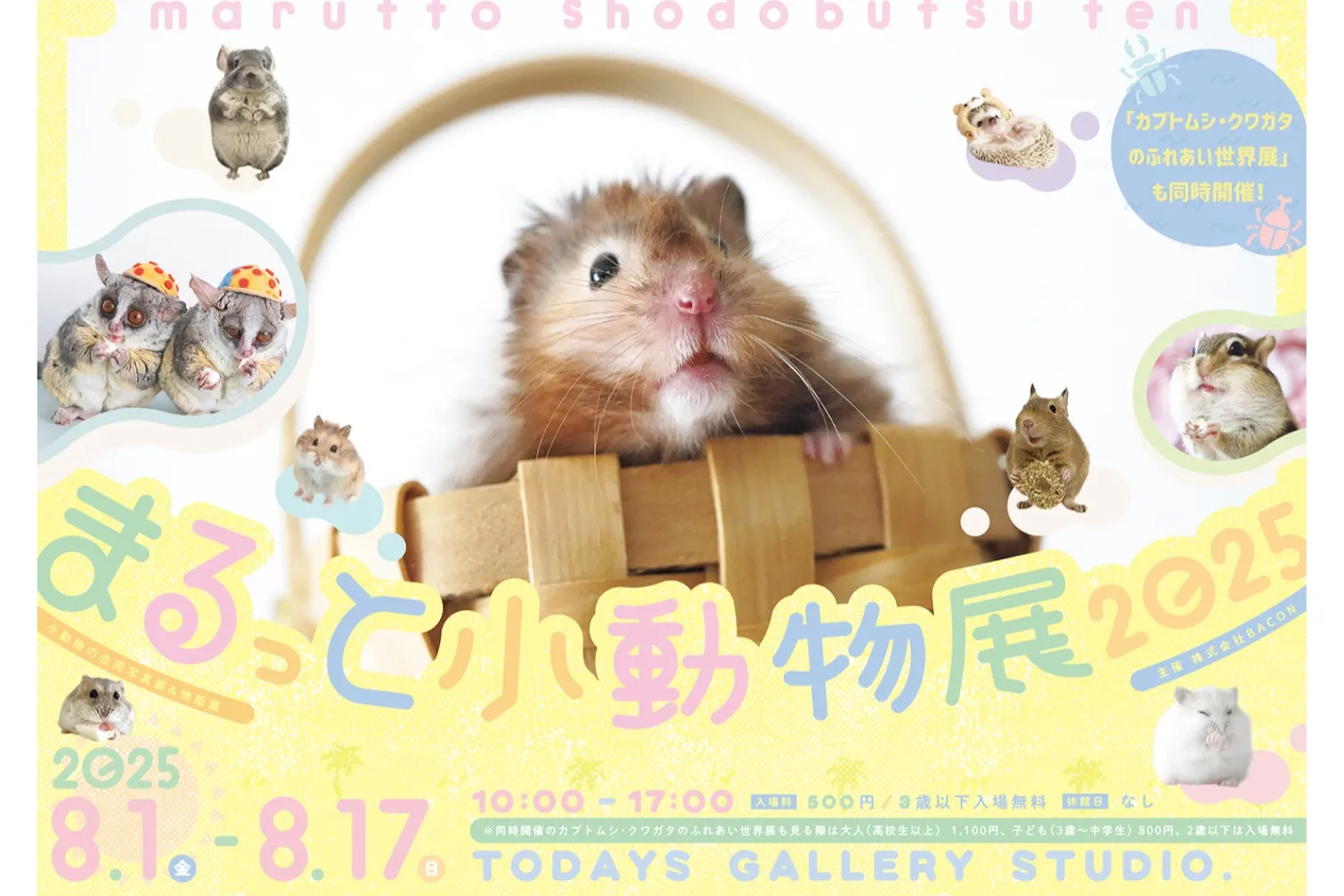 まるっと小動物展 2025_15