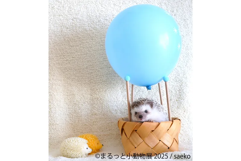 まるっと小動物展 2025_5