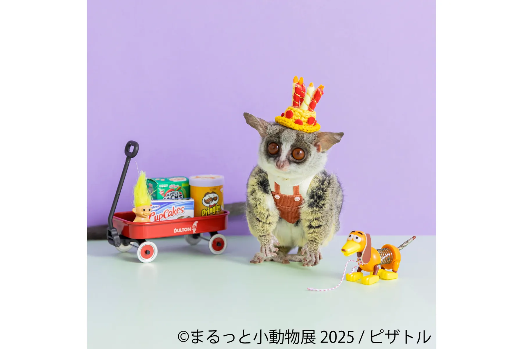 まるっと小動物展 2025_7