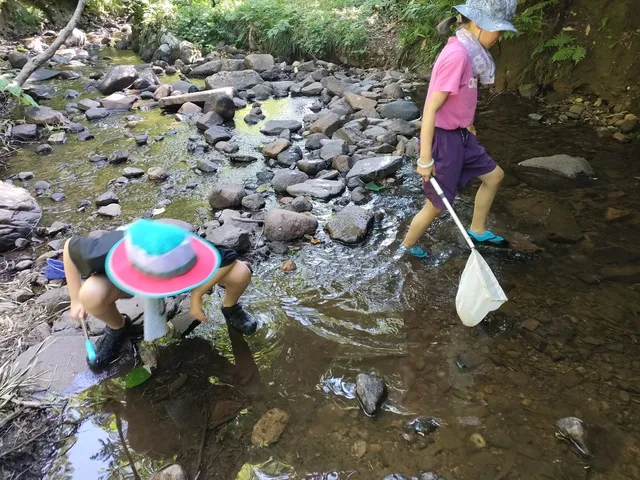 子どもも大人も探求体験！なべくら高原 理科くらぶ「沢で水の生き物探し」