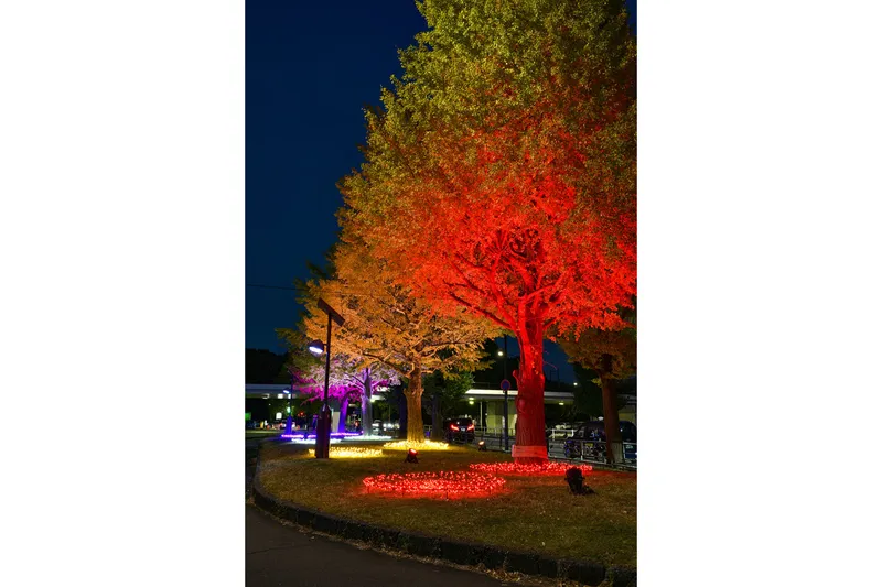 花と光のムーブメント_4