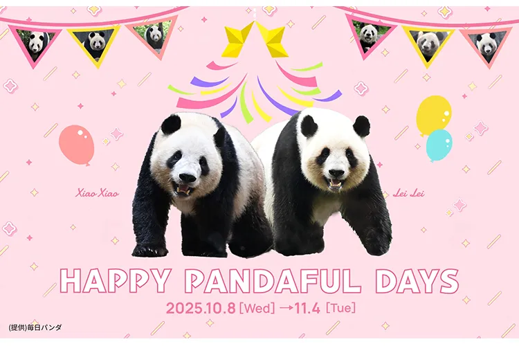HAPPY PANDAFUL DAYS_1