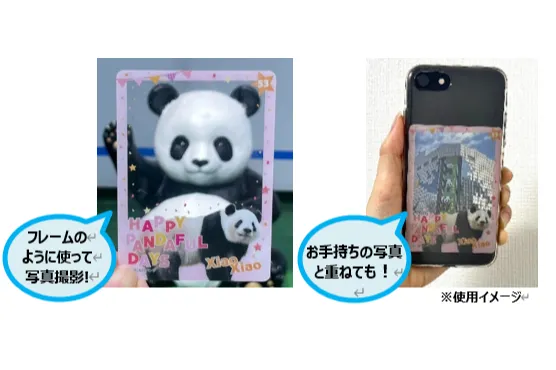 HAPPY PANDAFUL DAYS_14