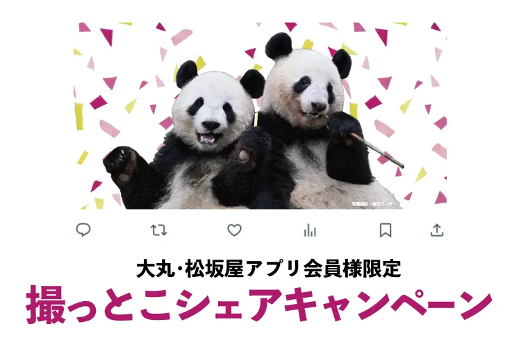 HAPPY PANDAFUL DAYS_18