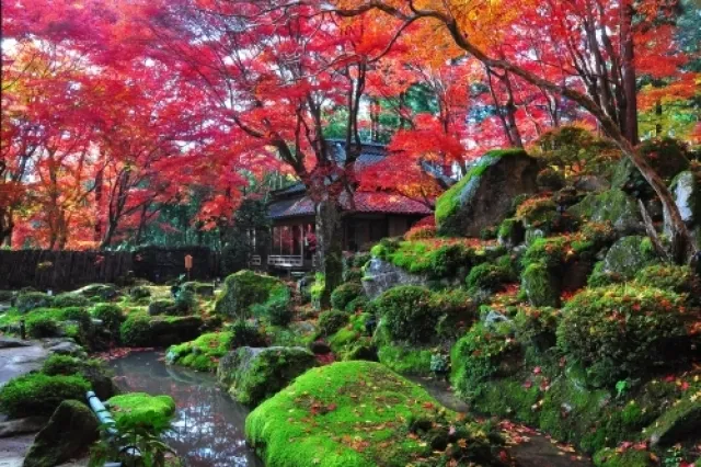 教林坊　秋の特別公開2025