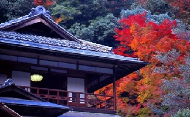 【紅葉・見ごろ】堀庭園