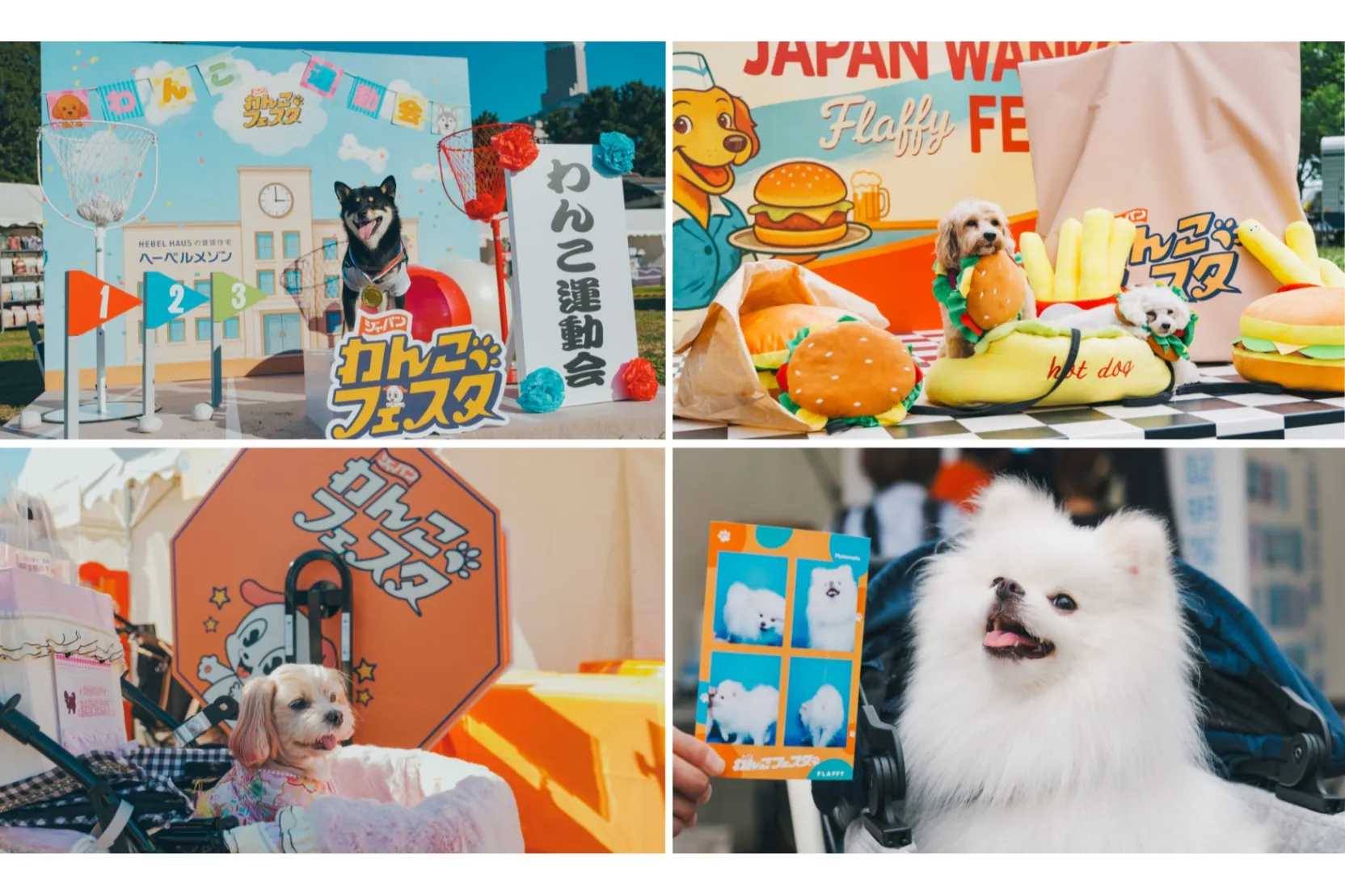 ジャパンわんこフェスタ2026 in お台場_2