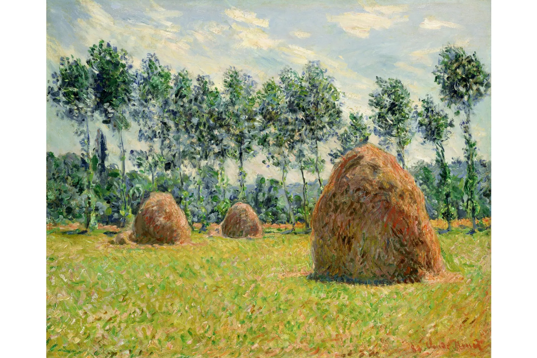 モネ没後100年・開館25周年記念　あたらしい目 ― モネと21世紀のアート_14