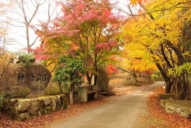 【紅葉・見ごろ】神ノ倉山公園