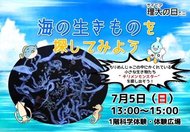 サイピア理大の日ミニ「海の生き物を探してみよう」