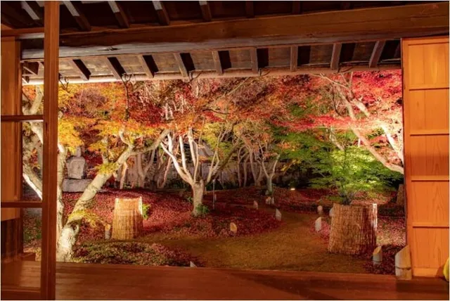 宇野千代生家　紅葉ライトアップ