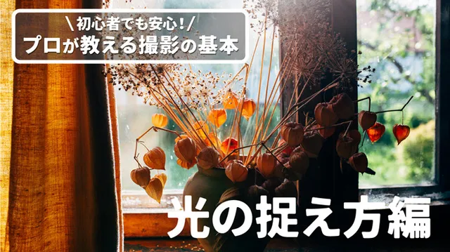 プロが教える撮影の基本「光の捉え方編」