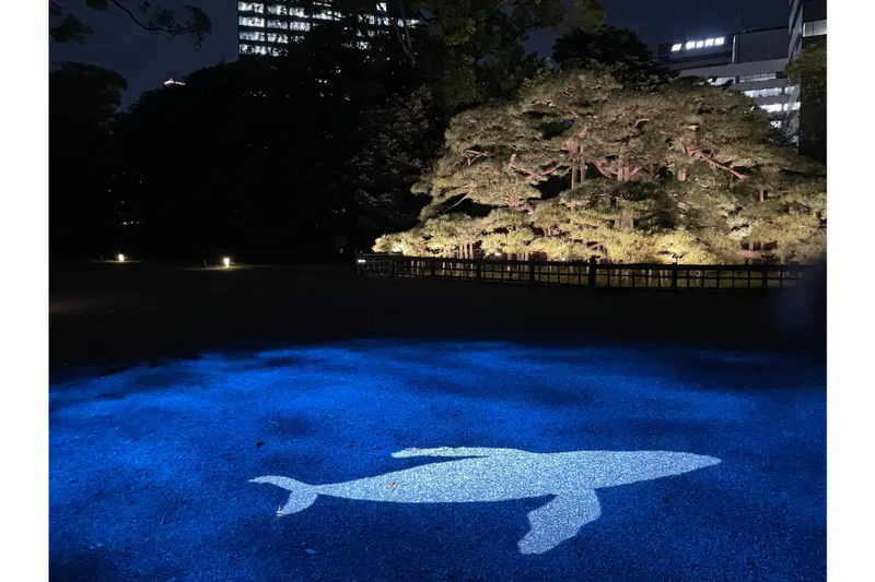 鯨のプロジェクション