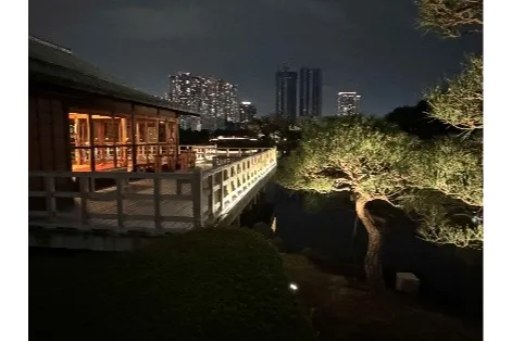 夜間特別開園「浜離宮でお月見散歩～将軍の御庭で栗名月を愛でる～」×開園80周年記念事業第二弾～夜の御庭をそぞろ歩き_9
