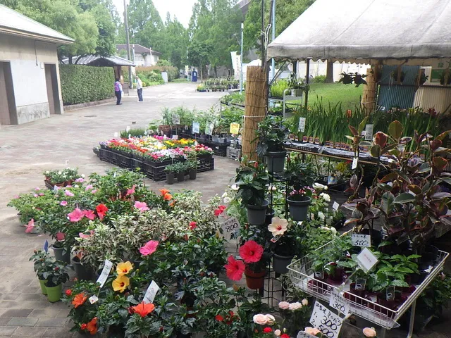 春の植木市（城北公園）