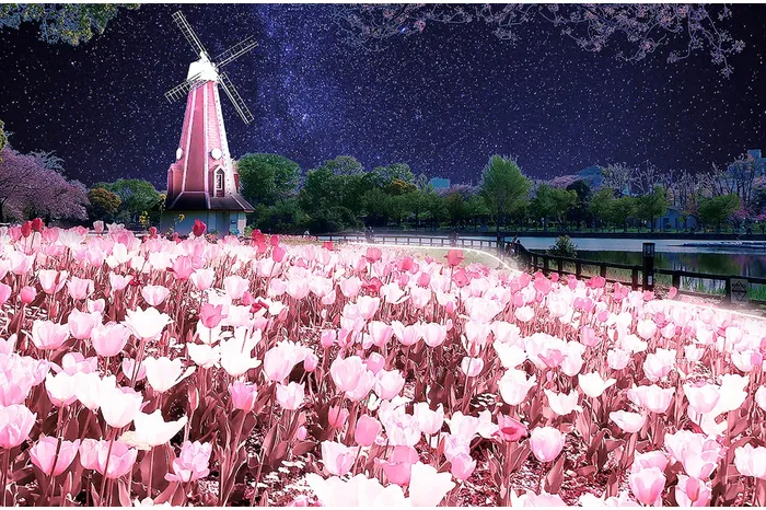 花と光のムーブメント　浮間公園×チューリップ_1